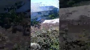 Прятки