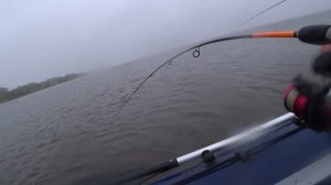 Тут рыба не дает упасть на дно приманке. Великий жор на море.