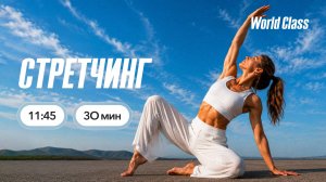 СТРЕТЧИНГ 30 мин с Ангелиной Казанцевой | 25 июля 2026 | Онлайн-тренировки World Class