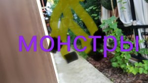 мои монстры#2