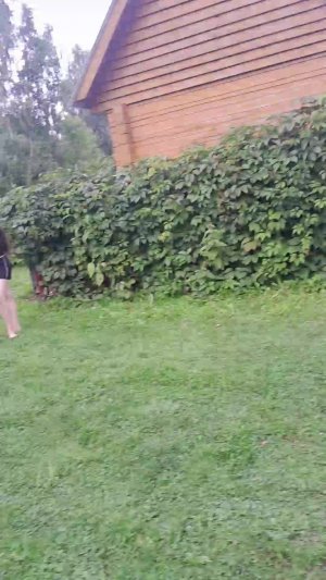матч