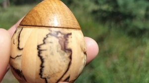 Шкатулка в июльском лесу с цветами
