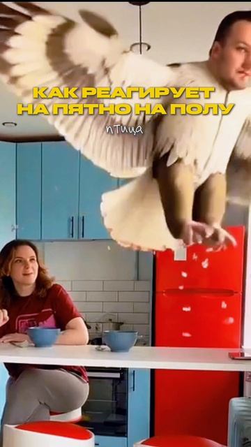 А как вы реагируете на пятно на полу?