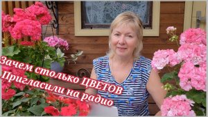 Цветы Зачем столько? От каких отказалась. Пригласили на радио Испанские слизни Вкусные помидоры