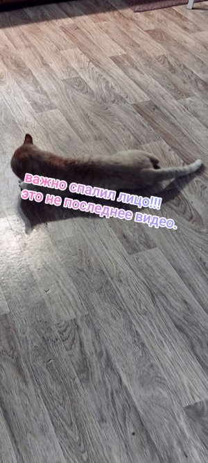 важно!!!!