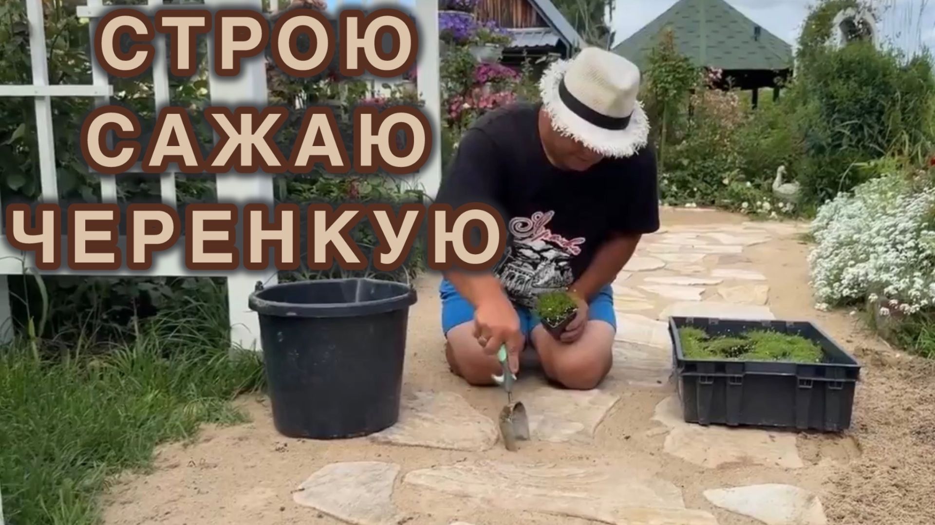 Перестройка сада продолжается. Обзор проделанной работы и итоги черенкования.