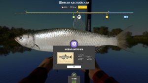 ШЕМАЯ КАСПИЙСКАЯ ТРОФЕЙ!!!АХТУБА!!! - РУССКАЯ РЫБАЛКА 4