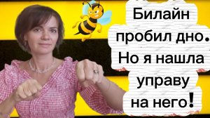 Билайн пробил дно. Ноя нашла на него управу с помощью гос. органов