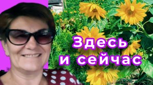 Что и как растёт в экстремальных условиях!? Вы, СЕРЬЁЗНО? Мы - лишь песчинки!🤷♀️