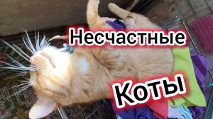 Живём как ЦЫГАНЕ/Несчастные КОТЫ/Лихие 90-е/Печём яблочный ПИРОГ/Купаемся на лимане
