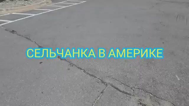 СРОЧНО НУЖНО СВЕЧИ ДЛЯ ПРАЗДНИКА МАГАЗИН смотреть онлайн