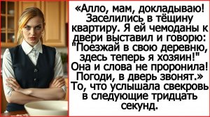Слушать рассказы Андрея Белого про свекровь. Алло, мам, докладываю! Заселился в тёщину квартиру.