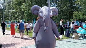 Весёлый летний день