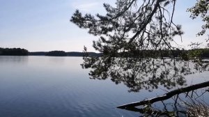 Утренняя прогулка🍀 Остров «Рябинка» на Сямозере.