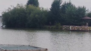 Поимка карпа