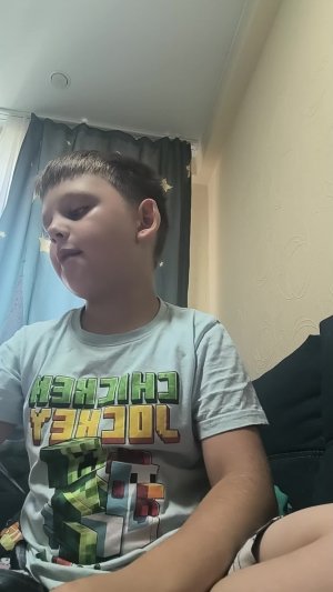 обзор на Лего лиса Minecraft