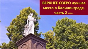 Верхнее озеро - лучшее место в Калининграде, часть 2, 2026 г.