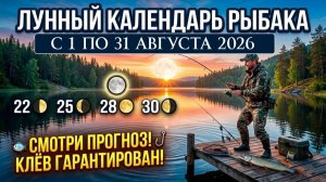 Прогноз клева рыбы на АВГУСТ 2026 года. Лунный календарь рыбака. Календарь рыбака на АВГУСТ 2026