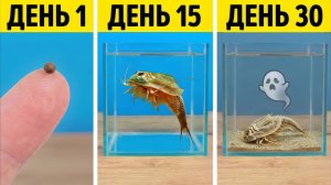 Вот что случилось с Триопсами через 30 дней! ☠️