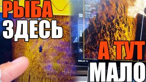 Вы ловите не в тех местах! Поиск КЛЁВОГО КОРЯЖНИКА для рыбалки на реке