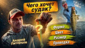 Как поймать КАПРИЗНОГО СУДАКА? Методика Андрея Питерцова