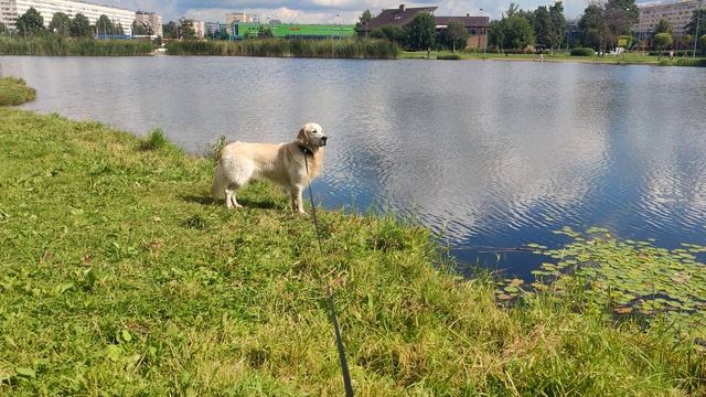 24 июля 2026 смотреть онлайн