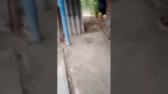 разговарием смотреть онлайн