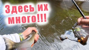 5 ПРИЧИН ВЫБРАТЬ ВЕЙДЕРСЫ!!! REDBOR Commander - с системой быстрого сброса!!!