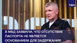 Отсутствие паспорта не является основанием для задержания, заявили в МВД