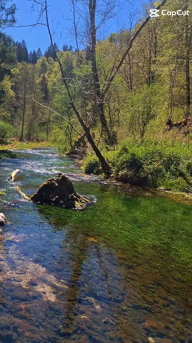 +вайб 💚✨ смотреть онлайн