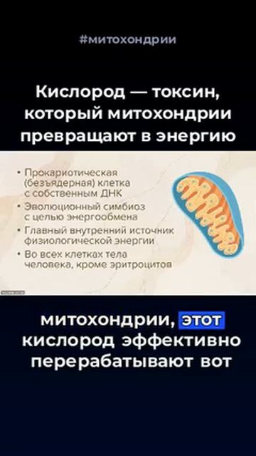 Энергия жизни
