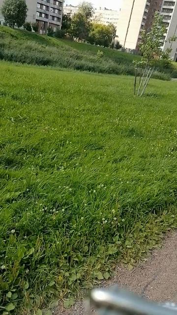 Настроение - супер