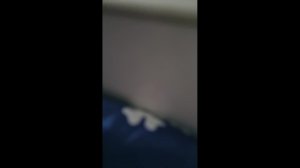 Общаюсь и подписываюсь на каждого зрителя