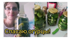 Если Замутнел Рассол...Спасаю Огурцы!🥒 Ценный Подарок...История Дружбы