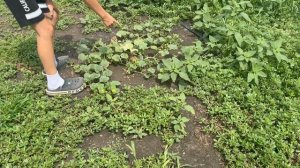 Видео от Романа