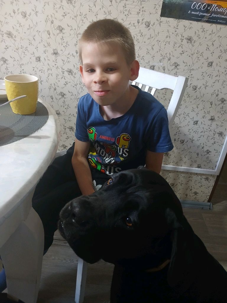 стрим смотреть онлайн