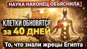 Код 40 дней: ПЕРЕЗАГРУЗКА женского тела на клеточном уровне — без диет и силы воли. 💖