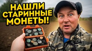 Кладоискатели нашли старинные монеты металлоискателем в поле