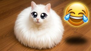 Самые вирусные смешные видео с котами 2026 года 🐱 Уморительные кошачьи неудачи, выходки и приколы