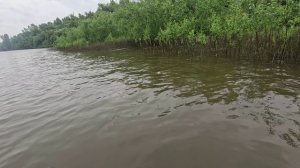 🔺️🎣ПОПРОЩАЛАСЬ🎣🔺️fishing#туризм#природа#ловля#рыбалка#щука#ловлящуки#ночевка#Чулым#река#спиннинг