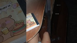 Всем привет Я новенькая в прошлом видео я рассказыва что я делаю