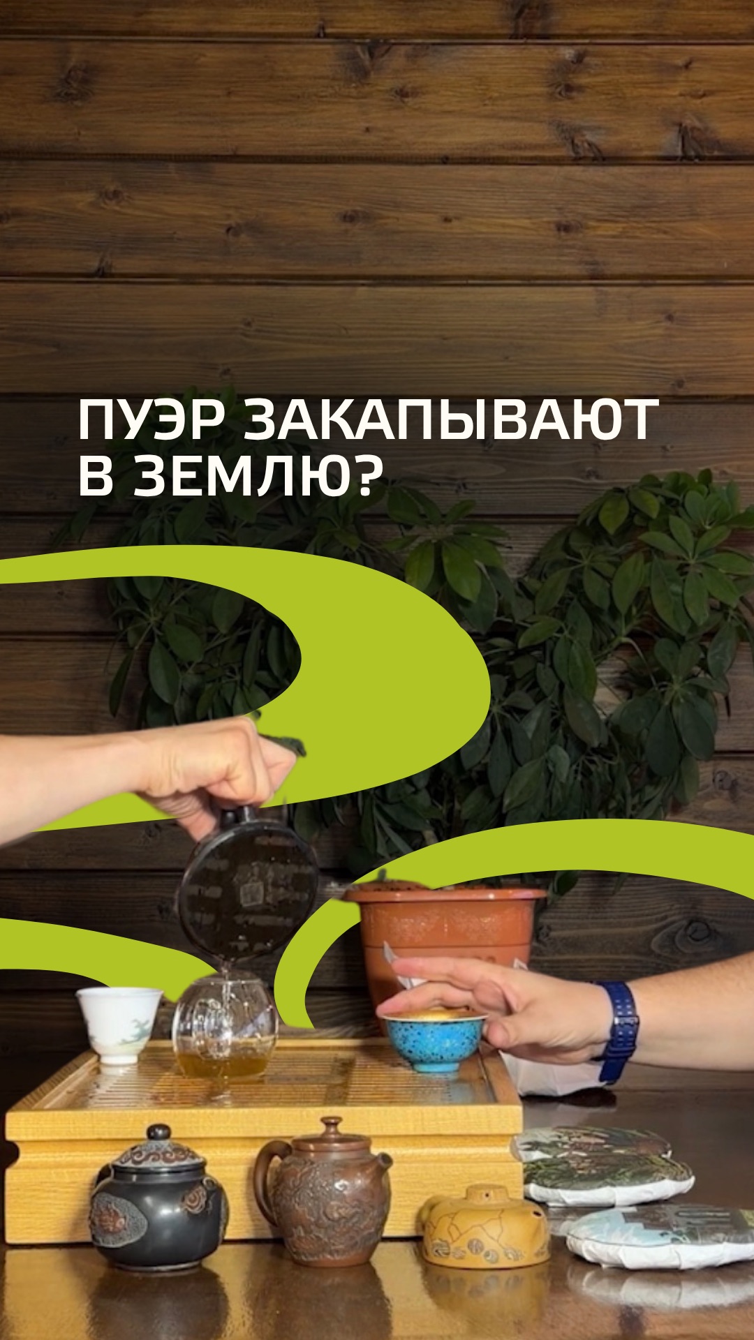 Развенчиваем миф о пуэре 🍃 смотреть онлайн