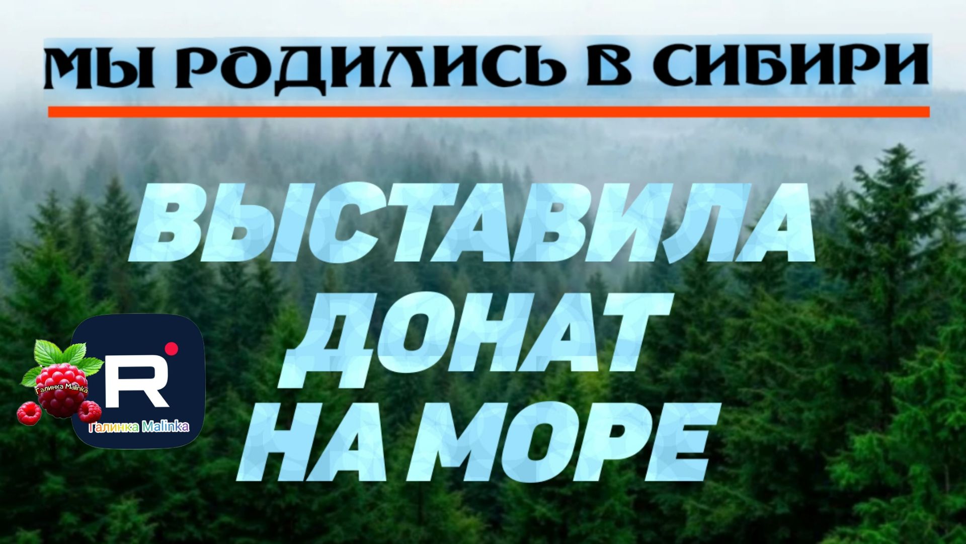 Выставила Донат на Море /Мы родились в Сибири /Обзор смотреть онлайн