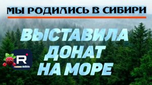 Выставила Донат на Море /Мы родились в Сибири /Обзор