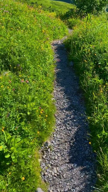 Бзерпинский карниз 🏔️ #поход #природа #бзерпинскийкарниз #красота #туризм