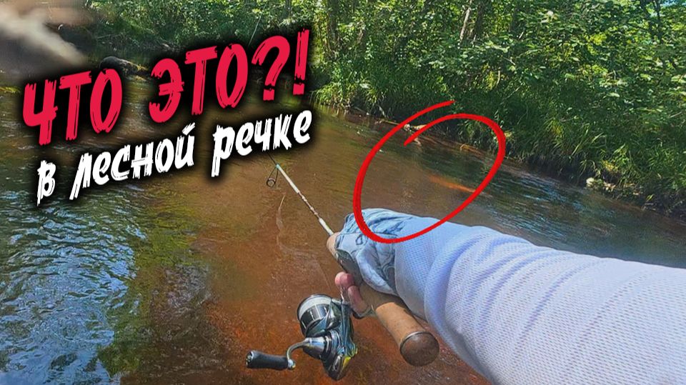 ЧТО-ТО ОГРОМНОЕ ПРОПЛЫЛО в затерянной речке... А потом начался клёв! Поля леса с Alaskan adventure смотреть онлайн