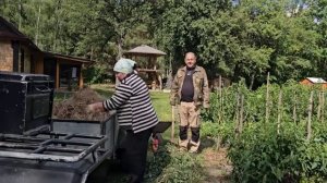 НАШЛИ ПЕРВЫЕ ГРИБЫ И СЕМЕЙНУЮ РЕЛИКВИЮ СПАСАЕМ ТОМАТЫ И СТРОИМ КУРЯТНИК