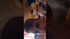 Светлана добрый