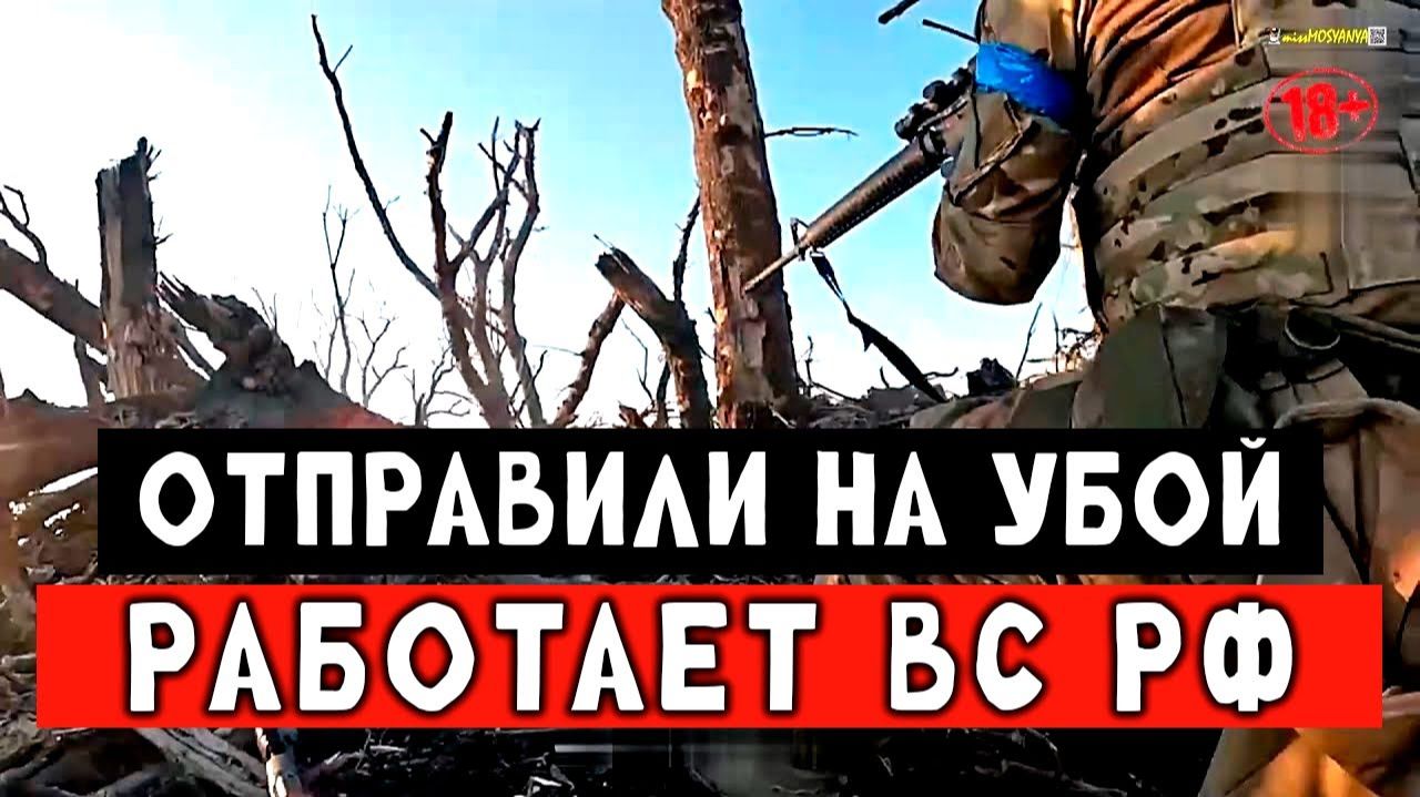Встретили ВСУ массовым налётом смотреть онлайн