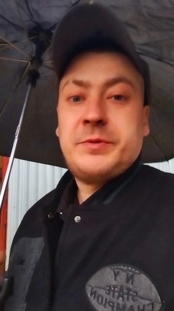 Атака Чаек на Человека